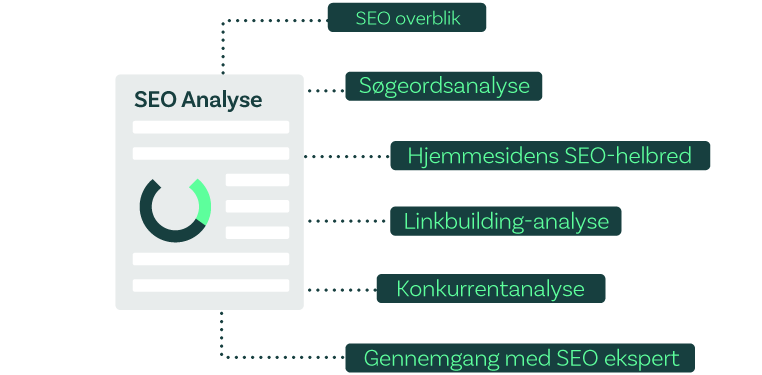 SEO analysens indhold